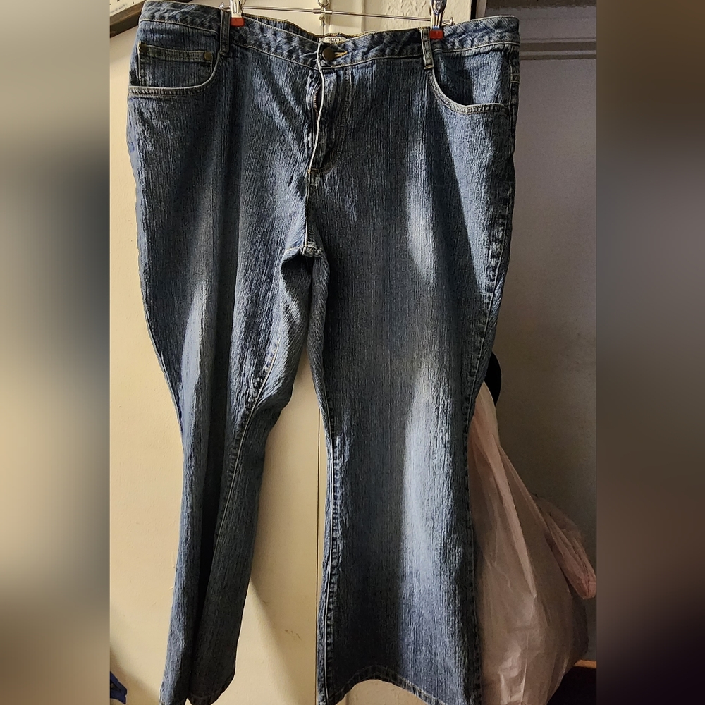 Cato Womens Plus size jean